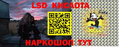 ГАЛЛЮЦИНОГЕННЫЕ ГРИБЫ Сланцы