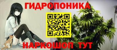 не бодяженный Северобайкальск