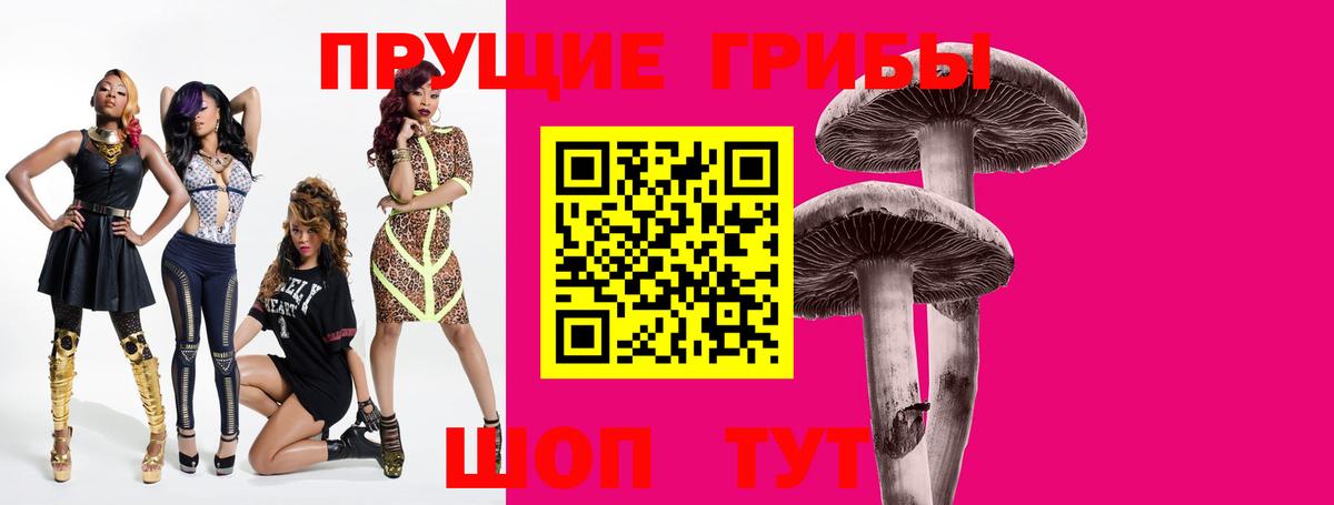 Муравленко  Псилоцибиновые грибы мухоморы  наркотики  Вход с VPN  Псилоцибиновые грибы Psilocybine cubensis 